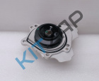 ���� ������� �����