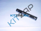 ��� �������������  