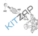 ������ ������ ����