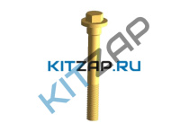 ���� �������� �����������_����_0